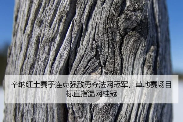 xin-na-hong-tu-sai-ji-lian-ke-qiang-di-yong-duo-fa-wang-guan-jun-cao-di-sai-chang-mu-biao-zhi-zhi-wen-wang-gui-guan-2-340.jpg